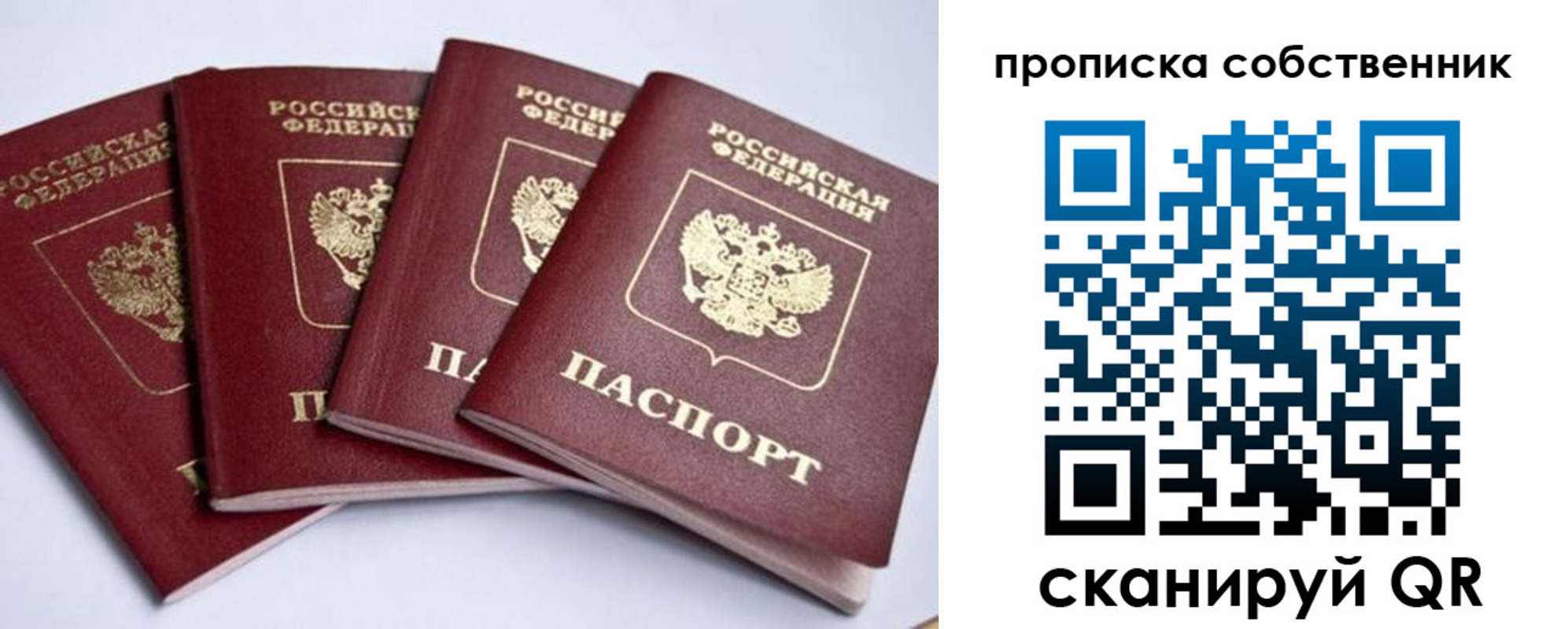 прописка для школы в Шумихе