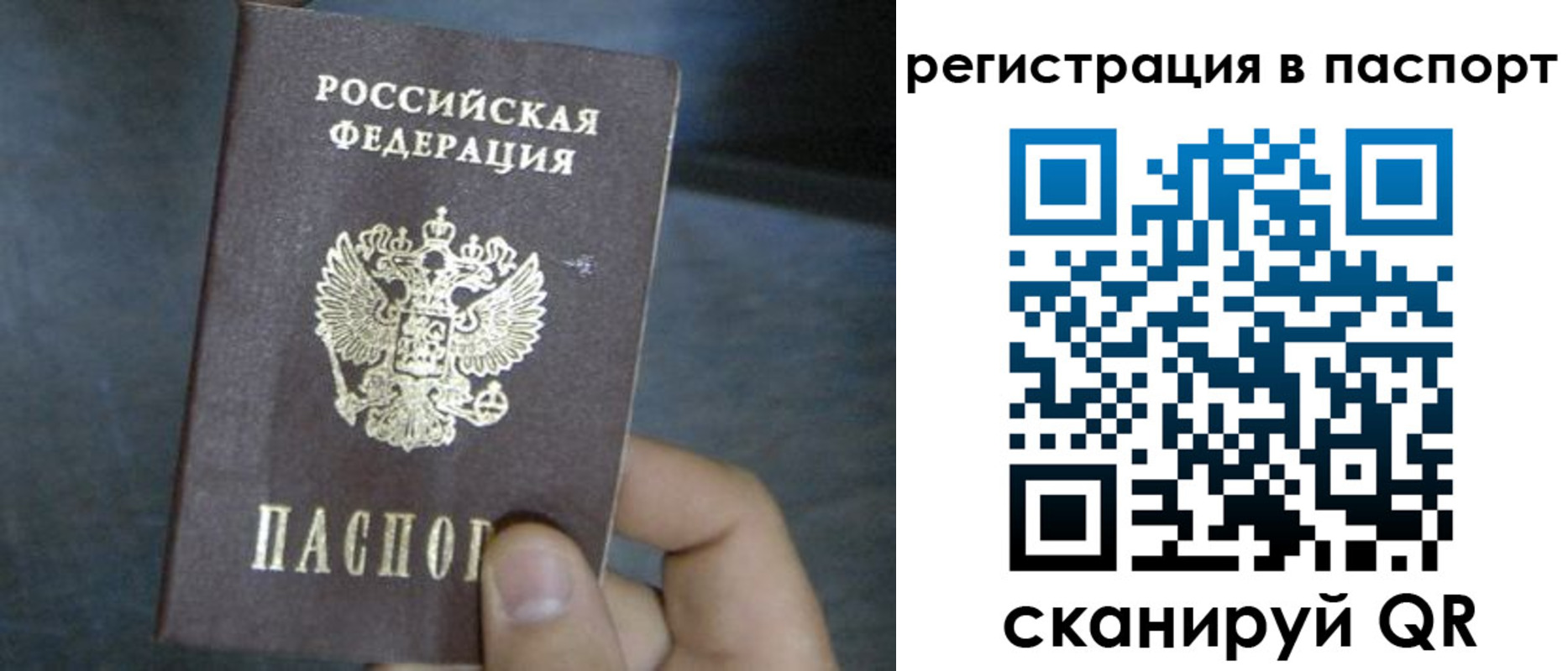 прописка 2025 в Шумихе